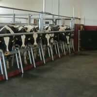 Agrargenossenschaft Ebersbach 3